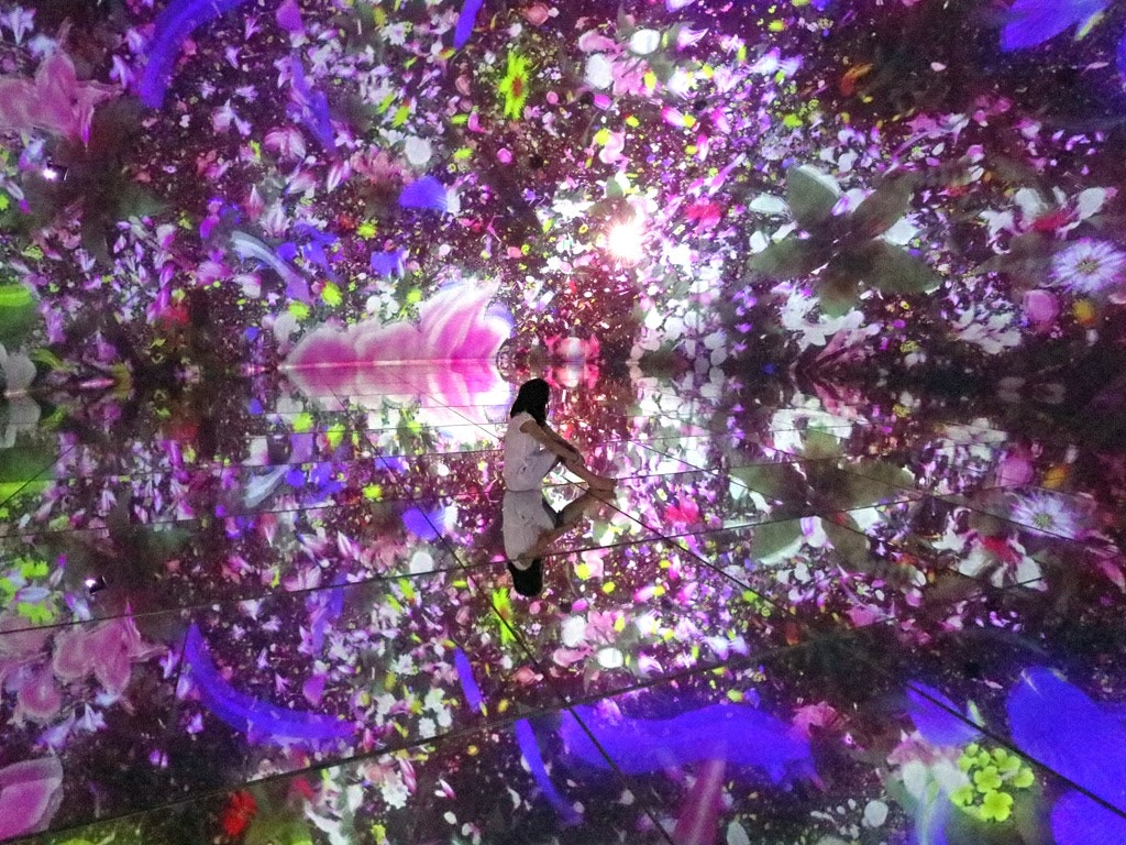 チームラボボーダレスとチームラボプラネッツの違いを比較 どっちへ行く Recotrip レコトリップ チームラボボーダレスとチームラボプラネッツの違いを比較 どっちへ行く Recotrip レコトリップ