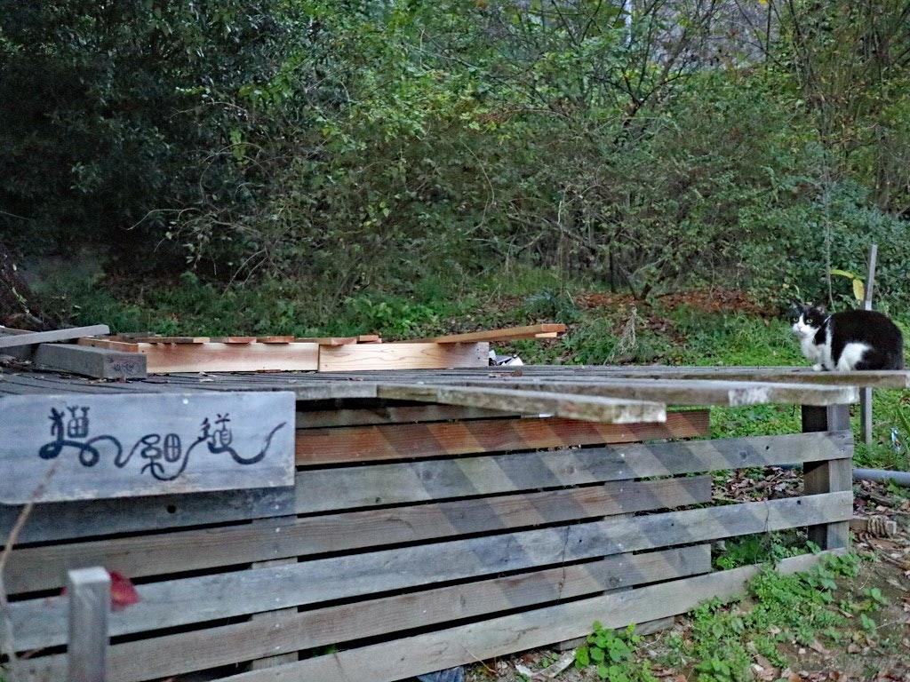 尾道観光 温泉に泊まって猫の細道と絶景を楽しむおすすめモデルコース Recotrip レコトリップ 尾道観光 温泉に泊まって猫の細道と絶景を楽しむおすすめモデルコース Recotrip レコトリップ