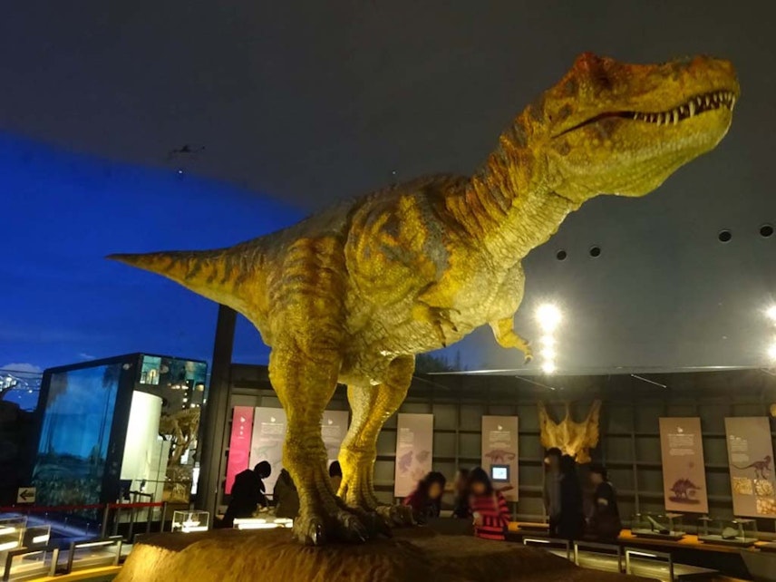 福井の恐竜博物館行くなら恐竜ルームのあるホテルがお得で子連れに最適 Recotrip レコトリップ