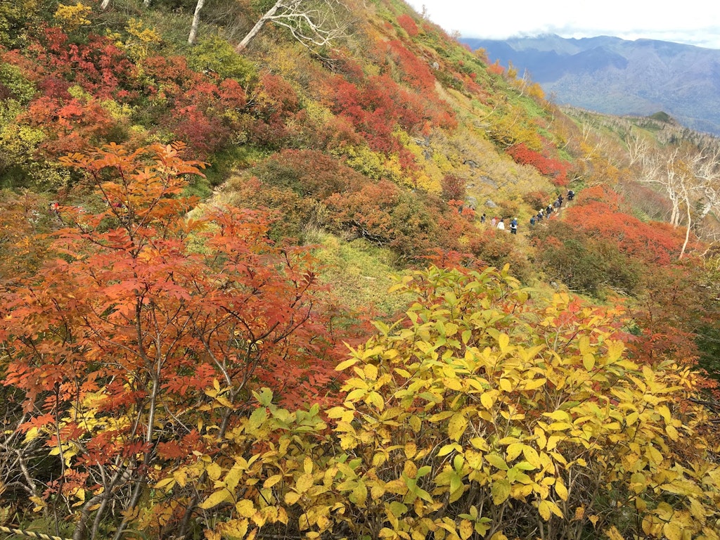 定山渓温泉に香雪園 北海道で紅葉 温泉が楽しめる時期と名所 Recotrip レコトリップ