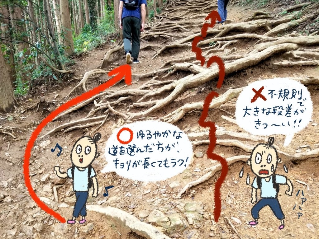 高尾山登山の服装や持ち物 コース 時間等初心者の不安を事前に回答 Recotrip レコトリップ