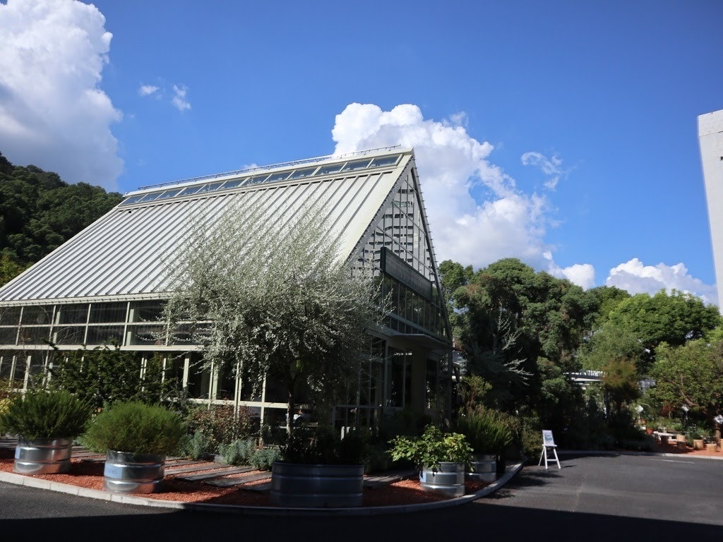 神戸おしゃれカフェ カフェラ のスイーツはインスタ映え間違いなし Recotrip レコトリップ