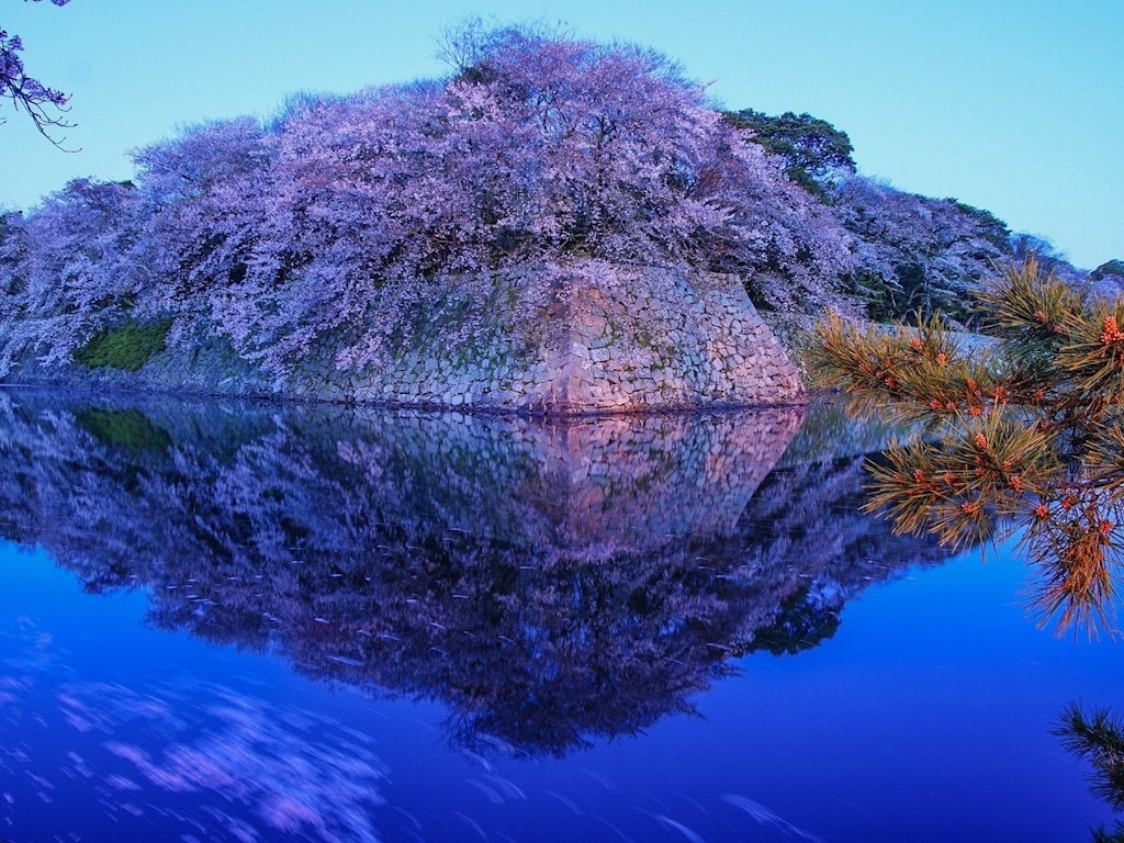 絶景特集 Recotori また行きたい日本の絶景 Recotrip レコトリップ