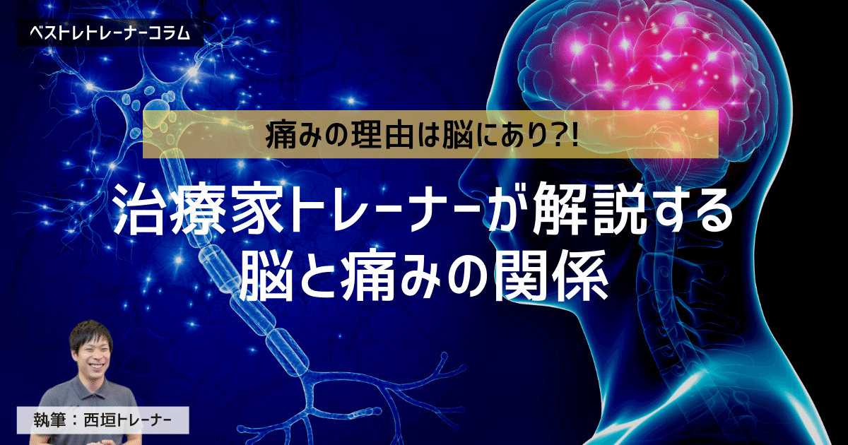 痛みの理由は脳にあり?治療家トレーナーが解説する脳と痛みの意外な関係