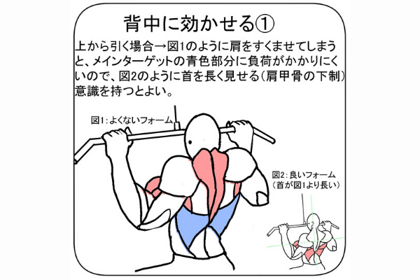 背中筋トレの鍛え方 効かせ方 基礎から応用までイラストで徹底解説