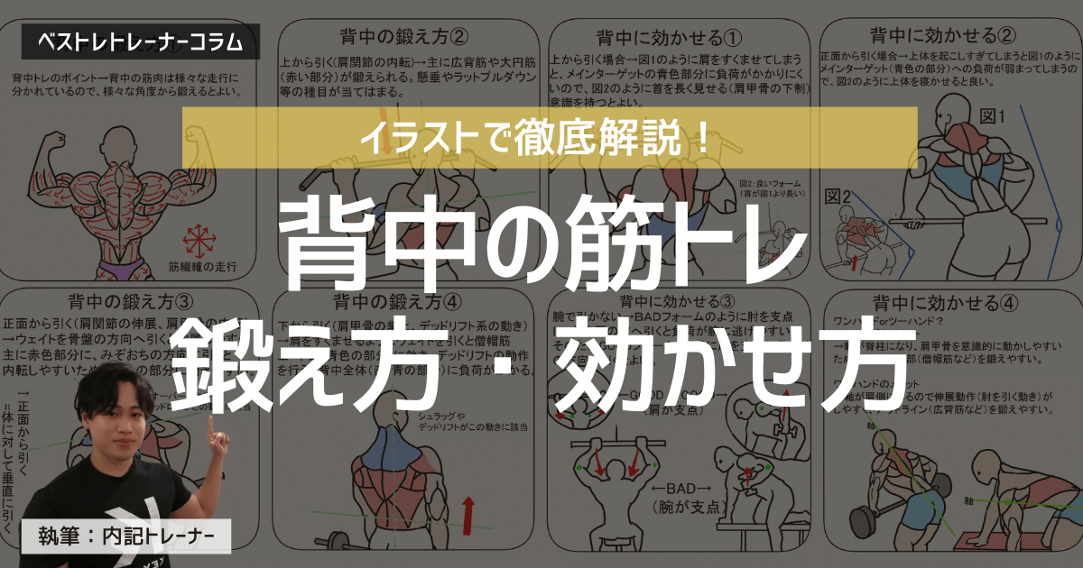 背中筋トレの鍛え方・効かせ方!基礎から応用までイラストで徹底解説