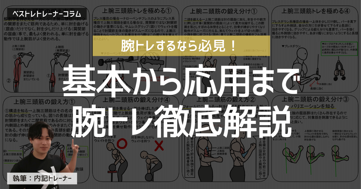 腕(上腕二頭筋・上腕三頭筋)の筋トレを現役トレーナーが解説!