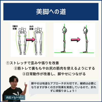 美脚を目指すストレッチ エクササイズ 現役トレーナーが詳しく解説 脚やせシリーズ