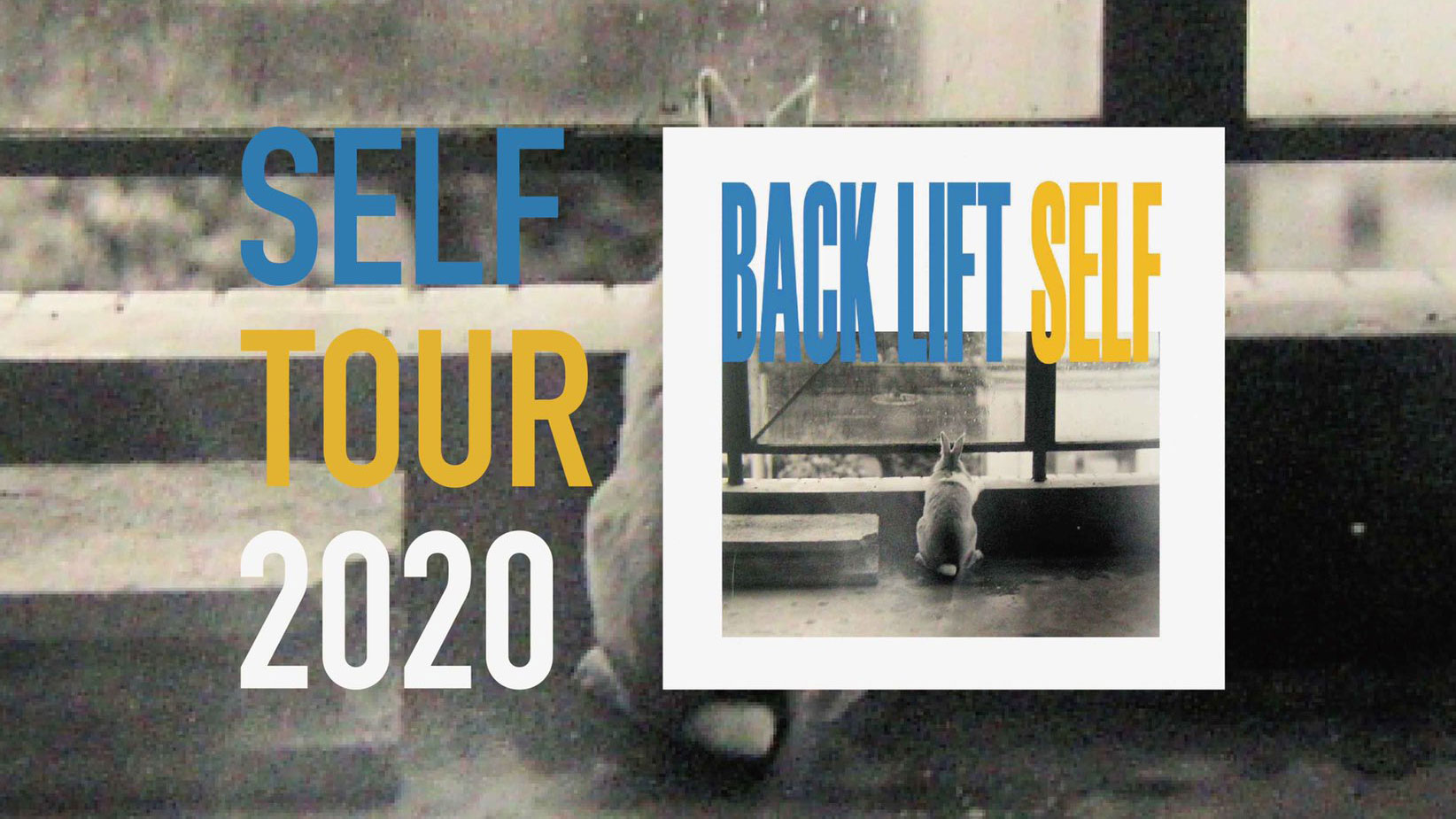 BACK LIFTアコースティックライブ "SELF TOUR 2020"