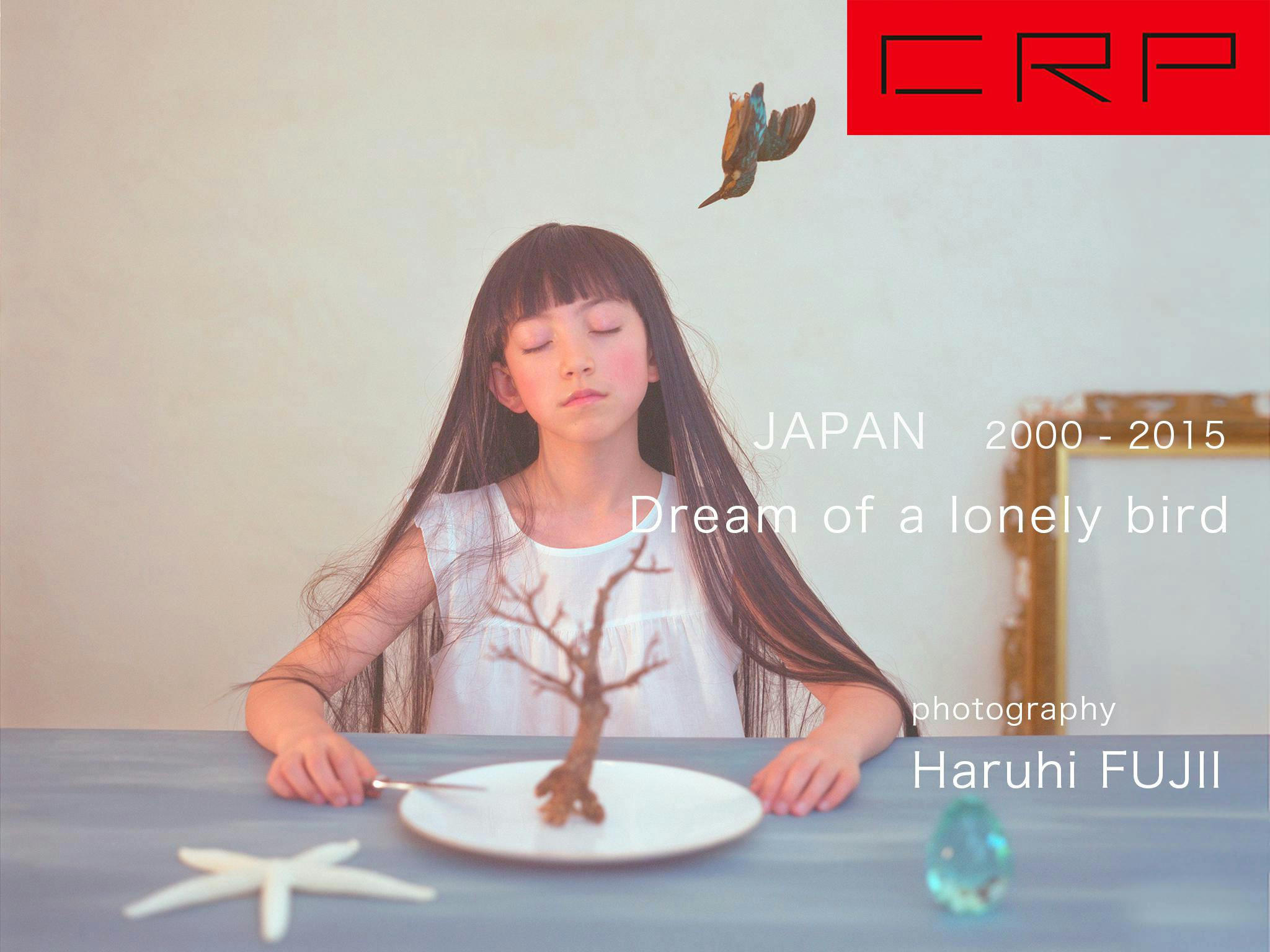 鳥の見る夢
Dream of a lonely bird